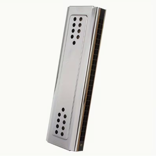 24-Hole Double-Sided Tremolo Harmonica – C & G Keys, Polished Metal Surface, Beginner-Friendly Design