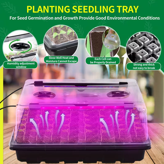 2 Packs  40 Holes Seed Starter Tray with Full Spectrum Grow Light, High Clear Humidity Dome Seed Germination Kit, 10 Brightness Levels & Auto Timer Indoor Seedling Planting Tray, Vegetable Flower Seed Germination Grow Box for Home Gardening