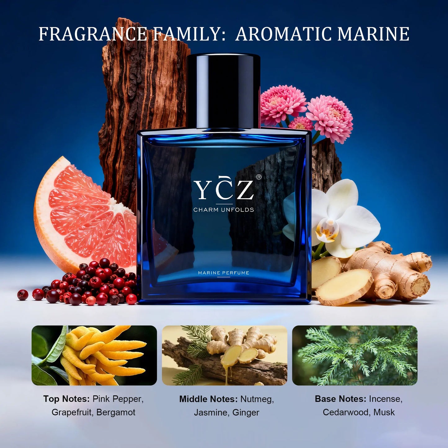 YCZ Midnight Marine Eau de Parfum 1.7oz | Aromatic Marine Fragrance for Men, Magnetic & Sensual, Long-Lasting for Dates and Everyday Wear, Inspired by the Effortless Attraction That Naturally Draws People Closer image 5