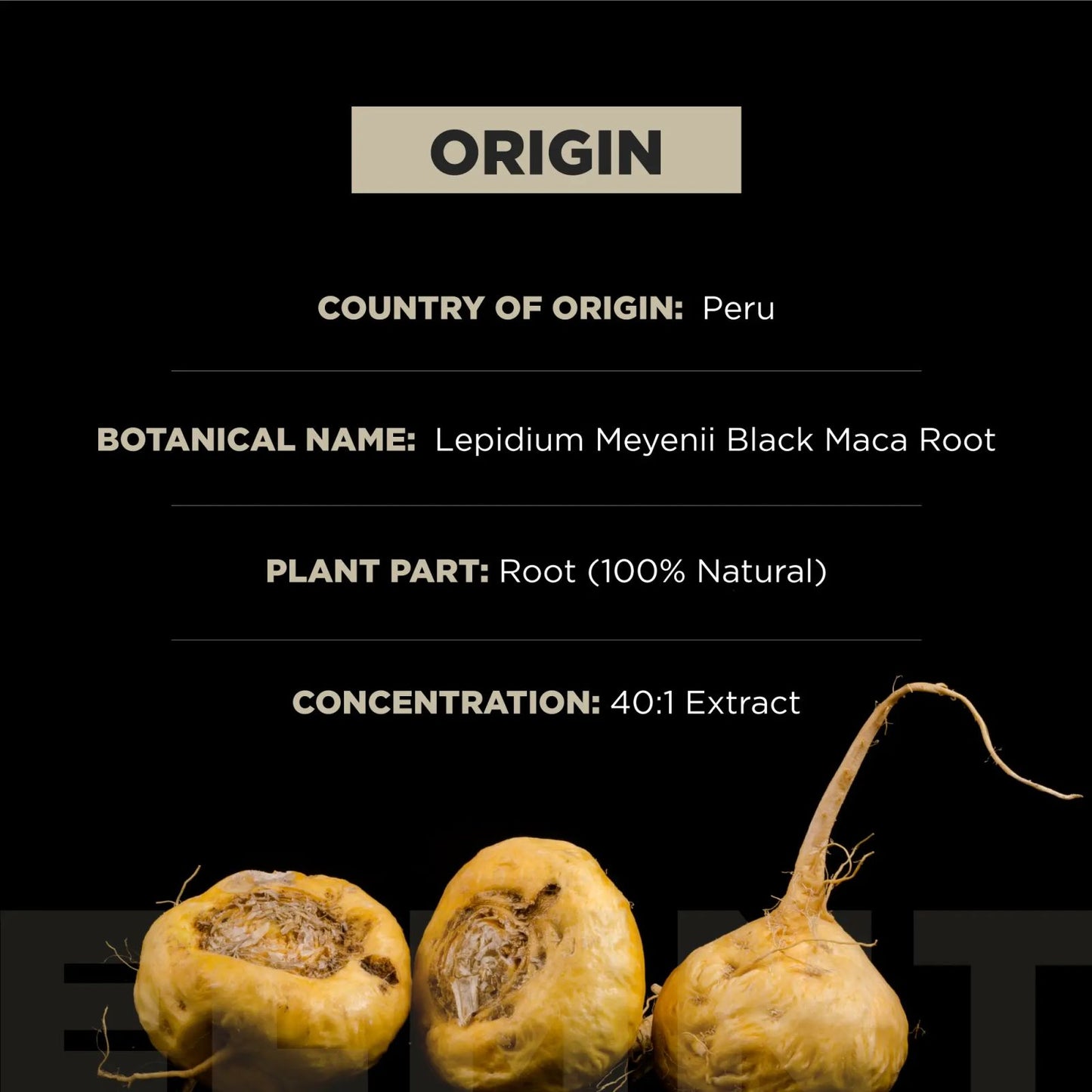 TERRA ELMNT Black Maca Root Supplement | Supports Energy, Stamina & Balance | Organic Maca with Ashwagandha Capsules image 5